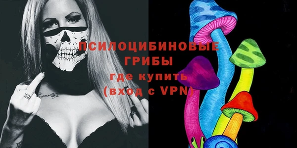прущая мука Алзамай